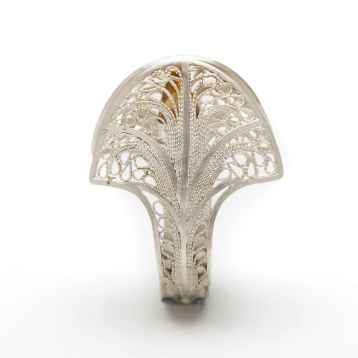 Andi	 Terry - Golden Teardrop Under a Canopy of Lace