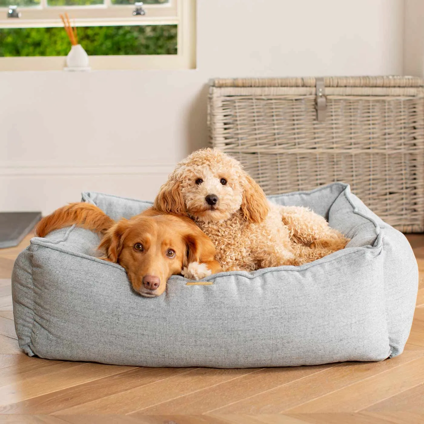 Box Bed With Removable Covers In Inchmurrin Iceberg by Lords & Labradors