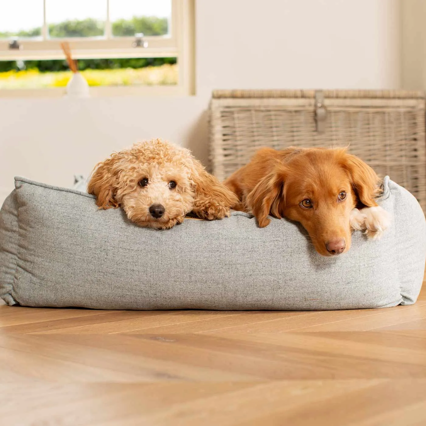 Box Bed With Removable Covers In Inchmurrin Iceberg by Lords & Labradors