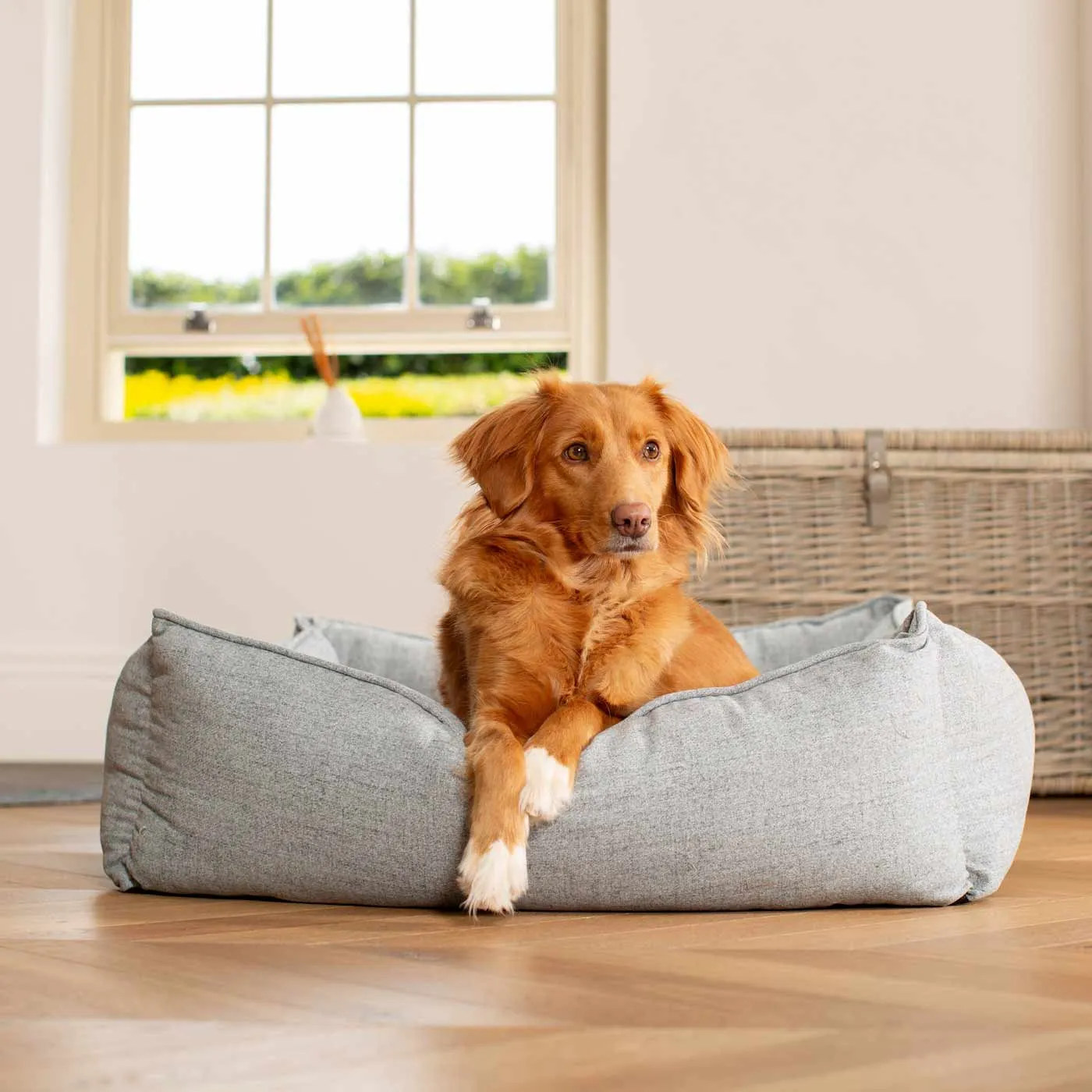 Box Bed With Removable Covers In Inchmurrin Iceberg by Lords & Labradors
