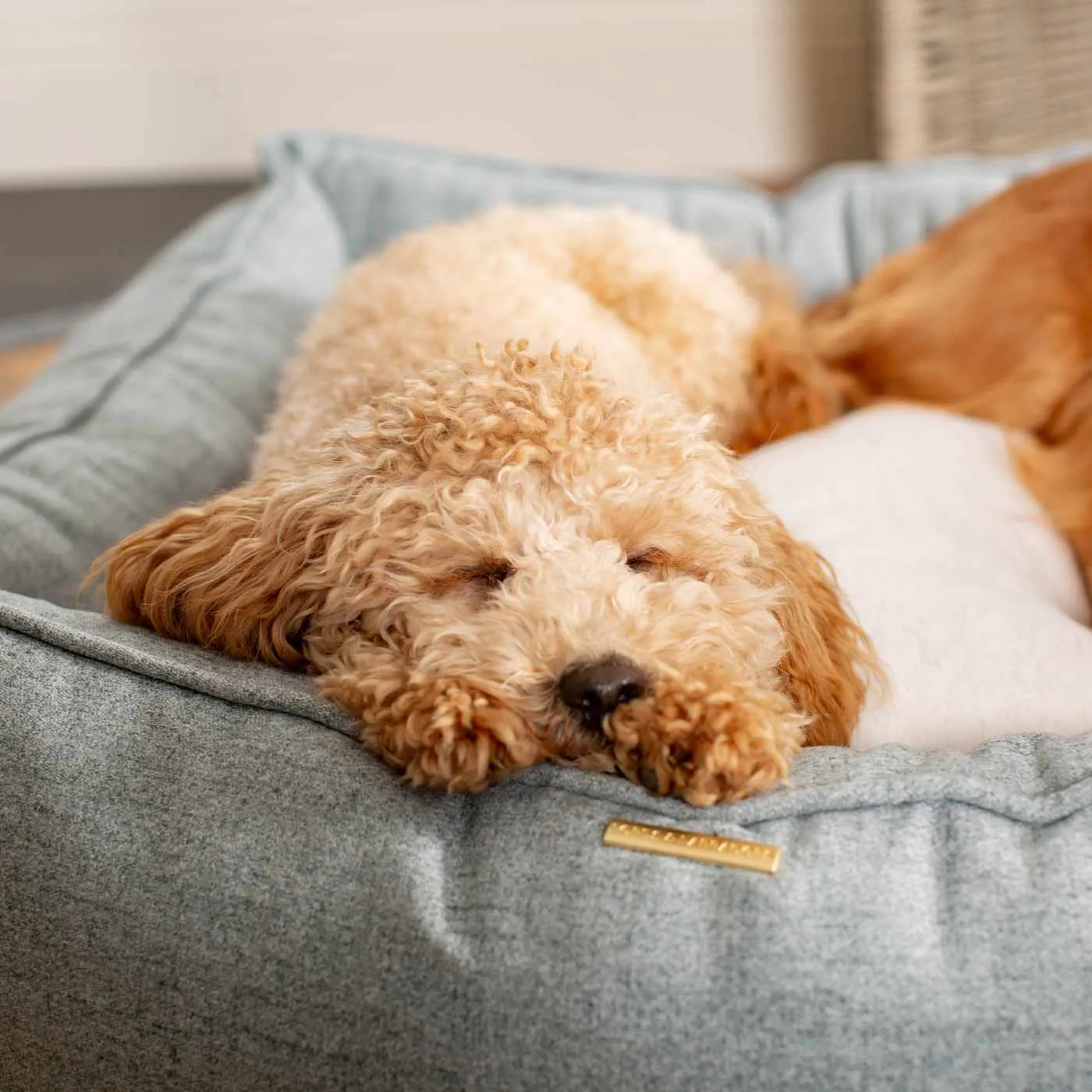 Box Bed With Removable Covers In Inchmurrin Iceberg by Lords & Labradors