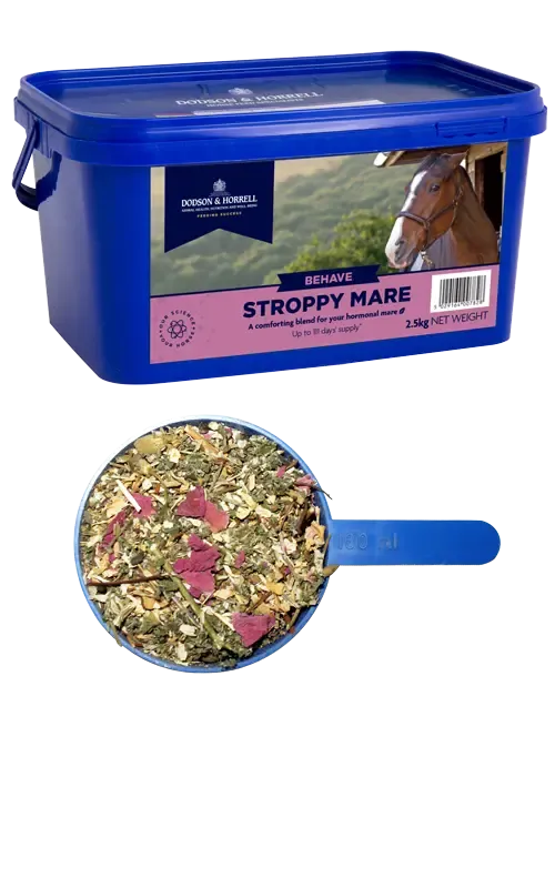 Dodson & Horrell Stroppy Mare - Various Sizes