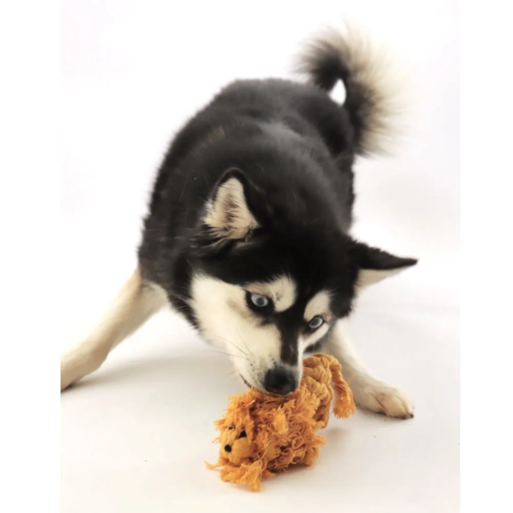 Lion Rope Dog Toy