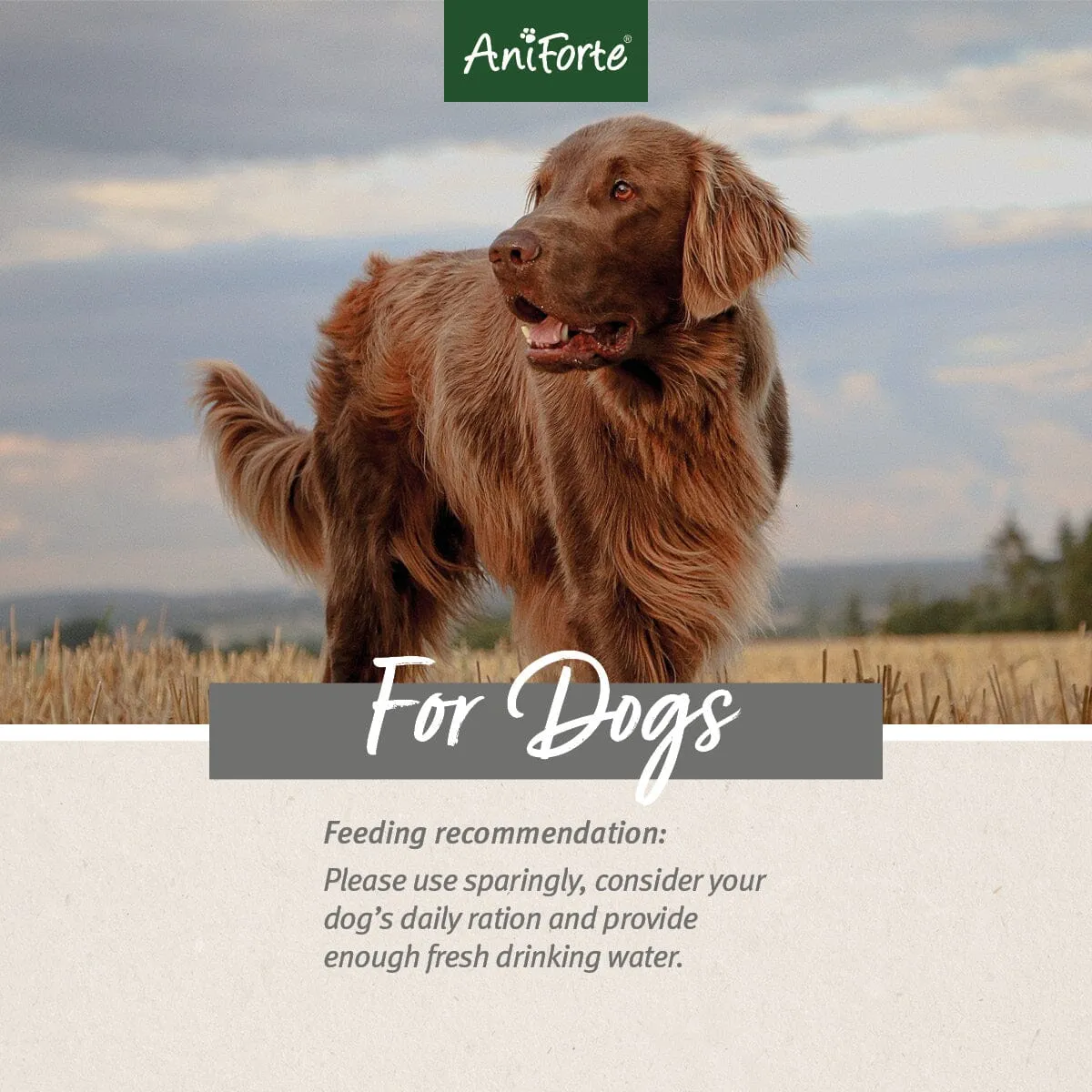 Natural Dog Snacks with Horse - 150g