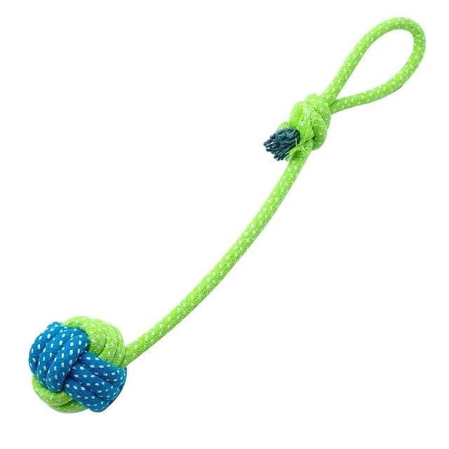 Puppy Chew Teething Toys