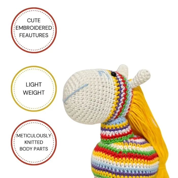 Rainbow Pony
