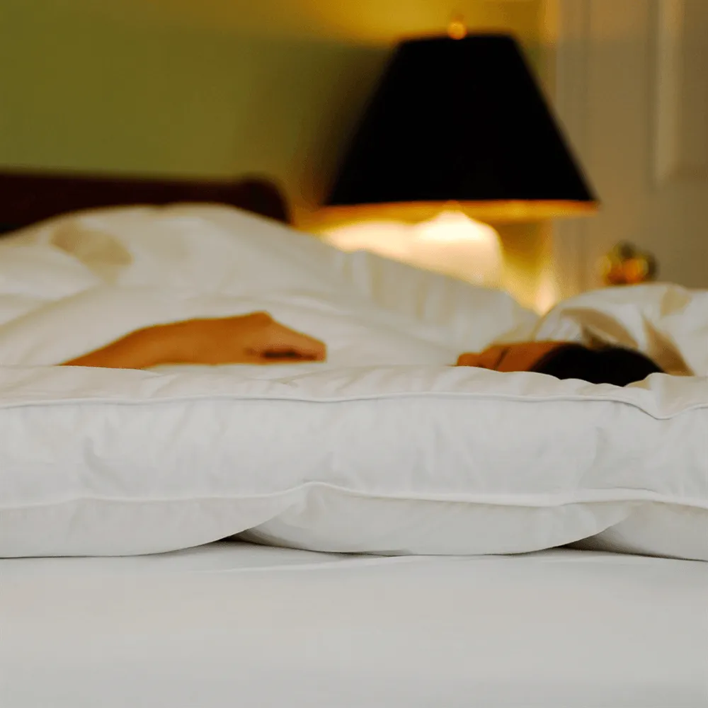 Snuggle Soft 800 Goose Down Mattress Topper - King (76" x 80")