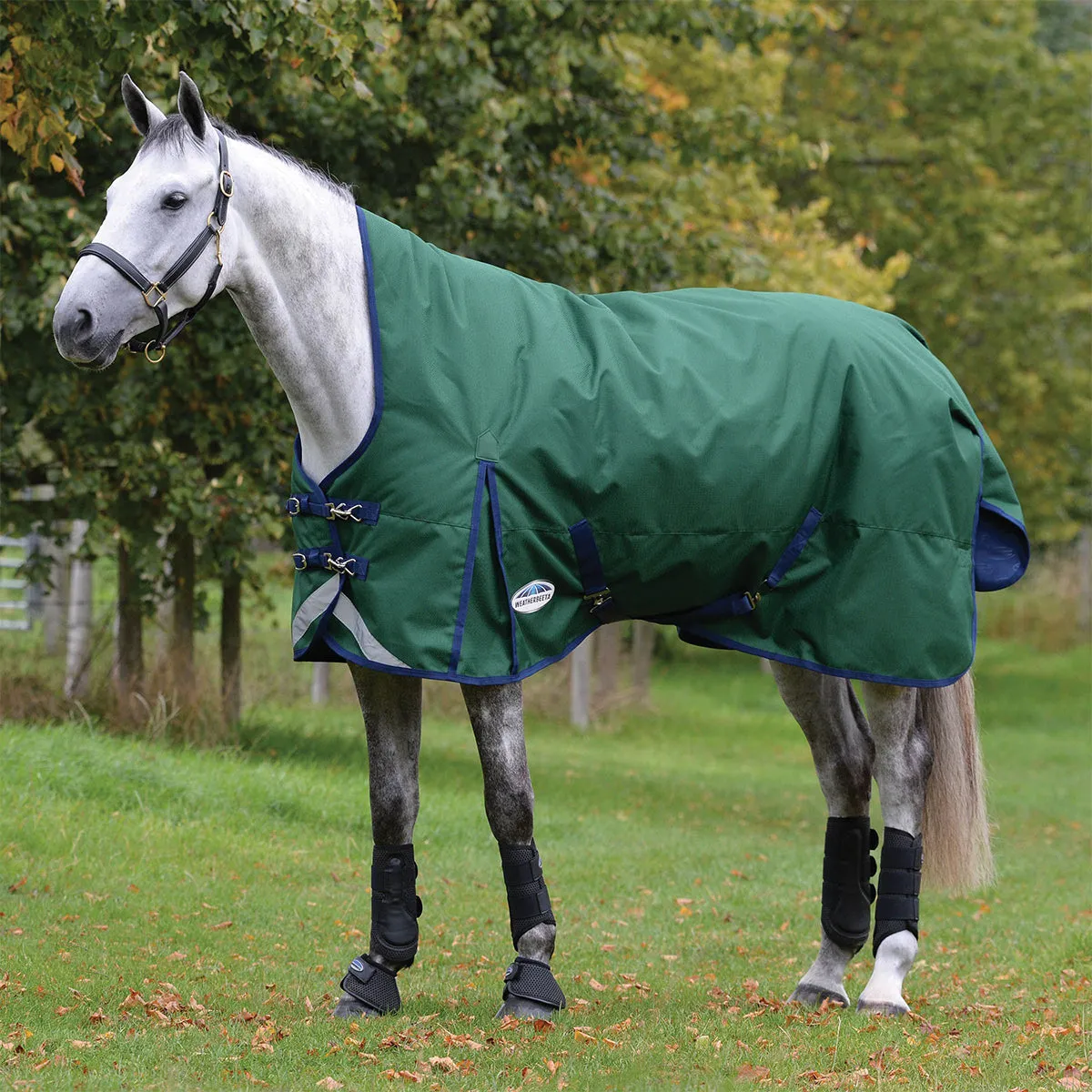 Weatherbeeta Comfitec Plus Dynamic II High Neck Blanket Medium- Sale